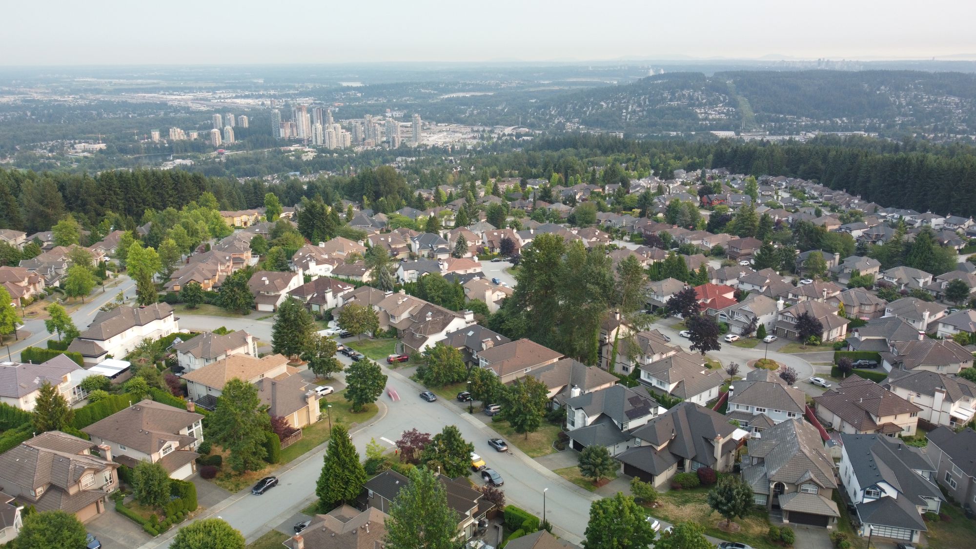 Tree-lined streets above the city